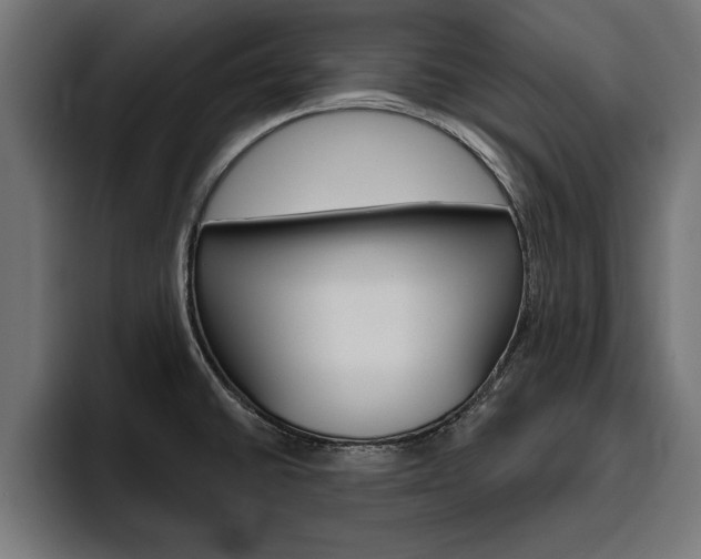 X0000094771430200711160821