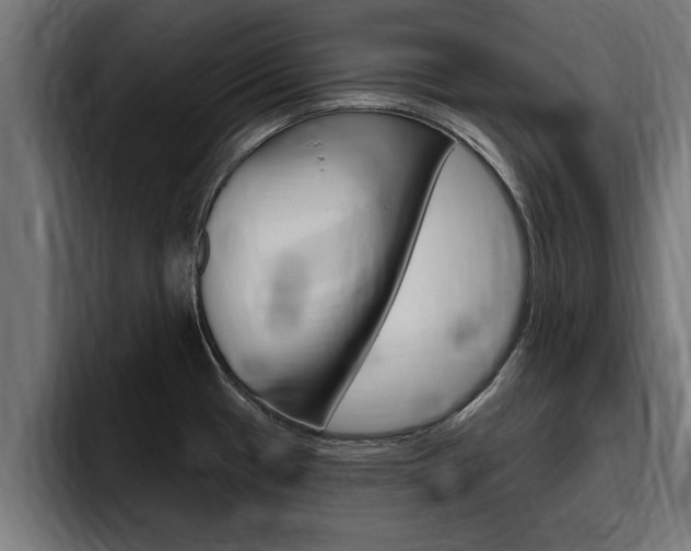 X0000094771433200711160821