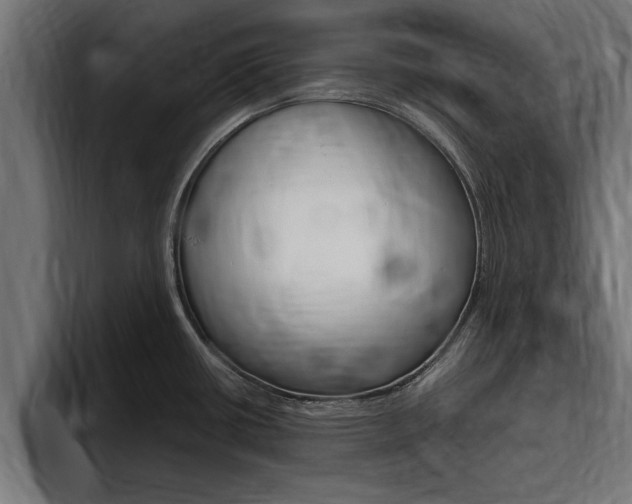 X0000094771434200711160821