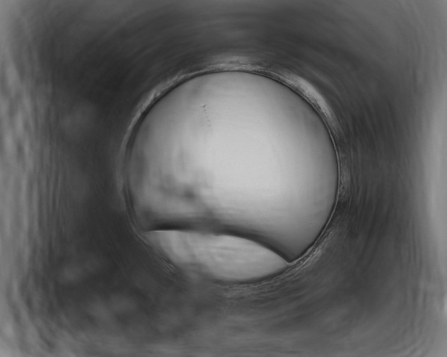 X0000094771435200711160821