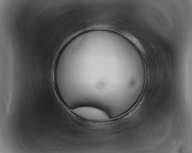 X0000094771436200711160821