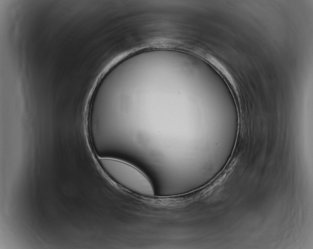 X0000094771437200711160821