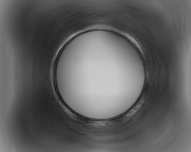 X0000094771438200711160821