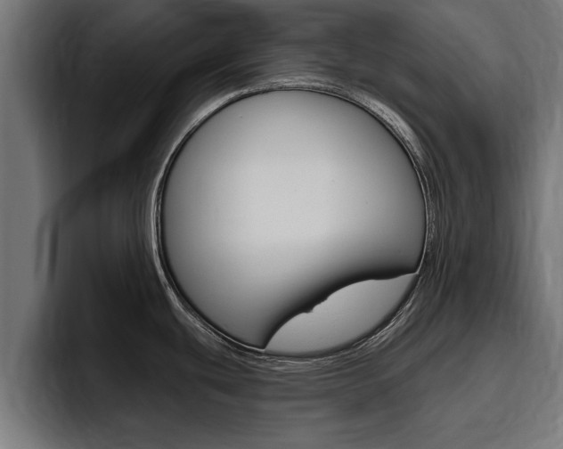 X0000094771439200711160821