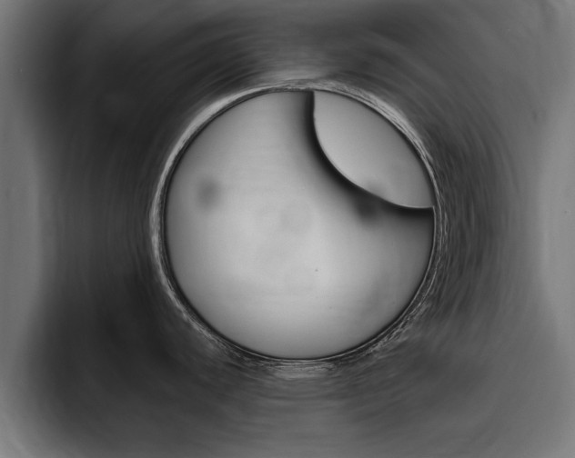 X0000094771440200711160821