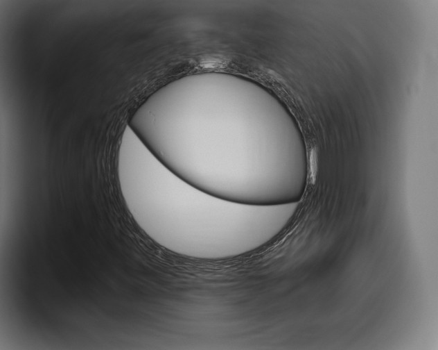 X0000094771443200711160821