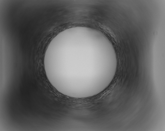 X0000094771445200711160821