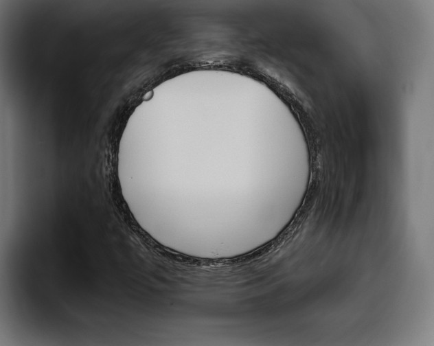 X0000094771447200711160821