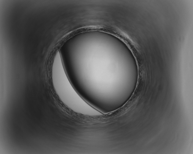 X0000094771448200711160821