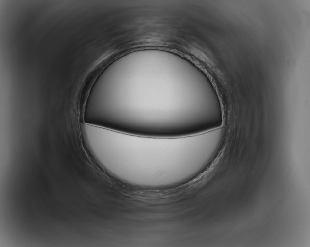 X0000094771450200711160821