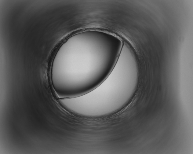 X0000094771452200711160820