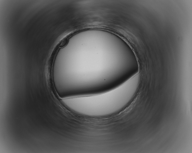 X0000094771458200711160820