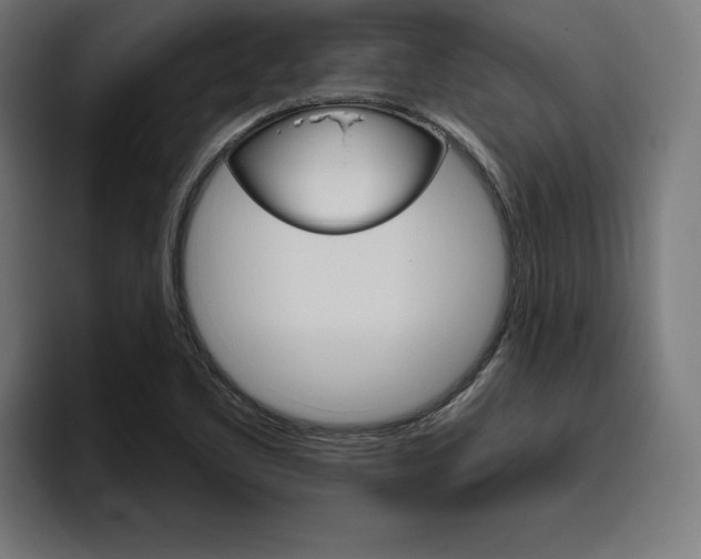 X0000094771461200711160820