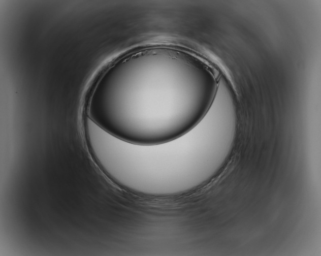 X0000094771464200711160820
