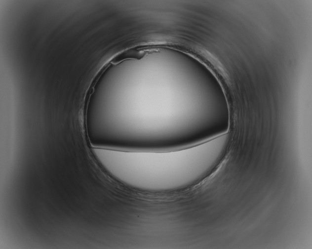X0000094771465200711160820