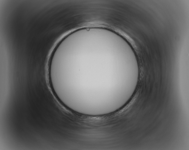 X0000094771470200711160820