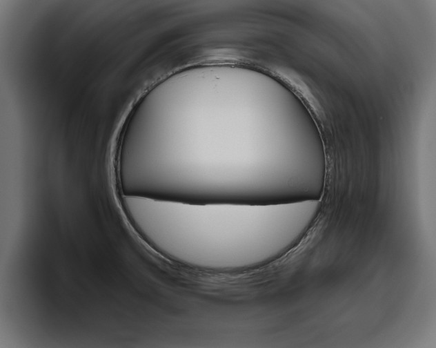 X0000094771475200711160820