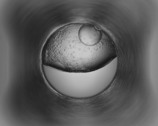 X0000094771479200711160820
