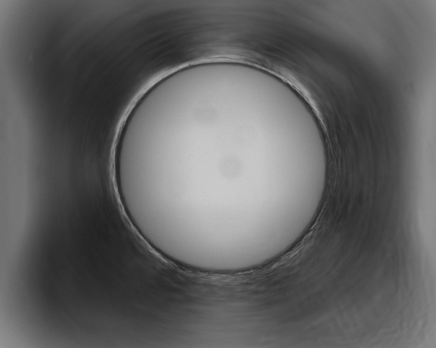 X0000094771480200711160820