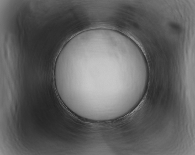 X0000094771481200711160820