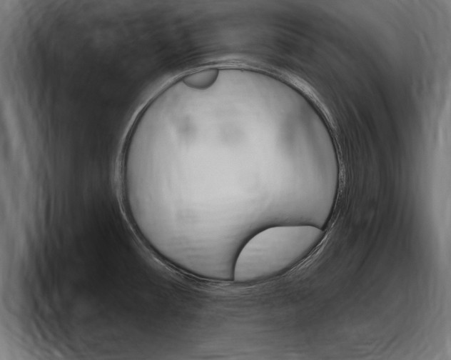 X0000094771482200711160820