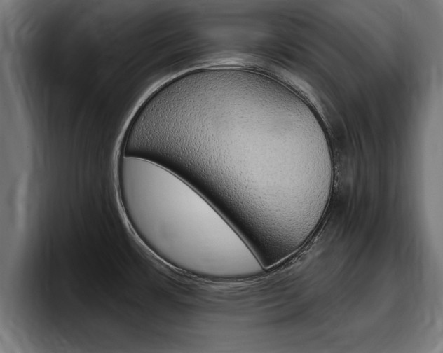 X0000094771483200711160820