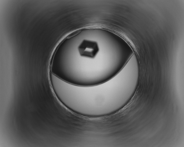 X0000094771484200711160820