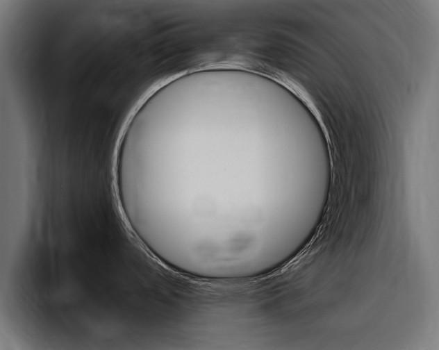 X0000094771488200711160820