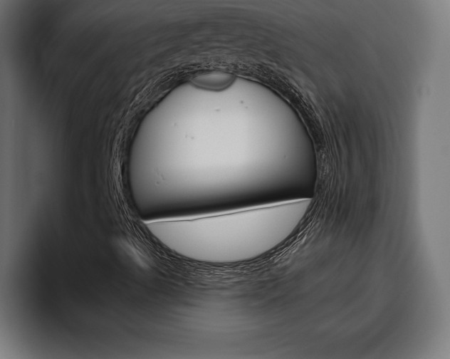 X0000094771489200711160819