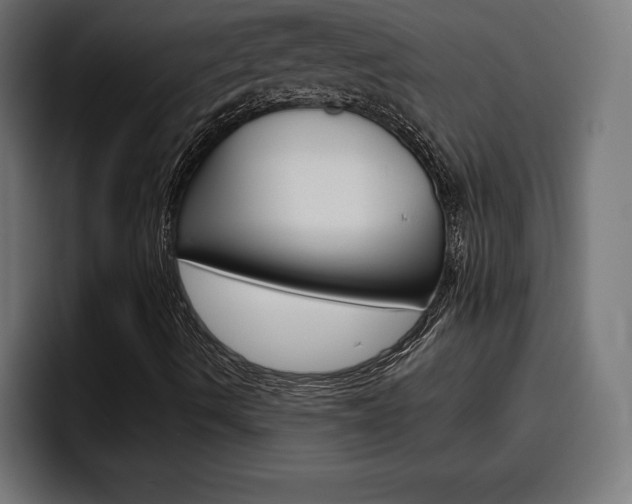 X0000094771490200711160819