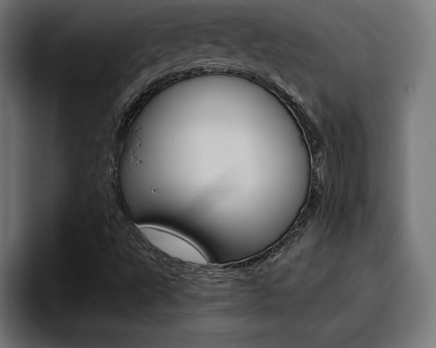 X0000094771495200711160819