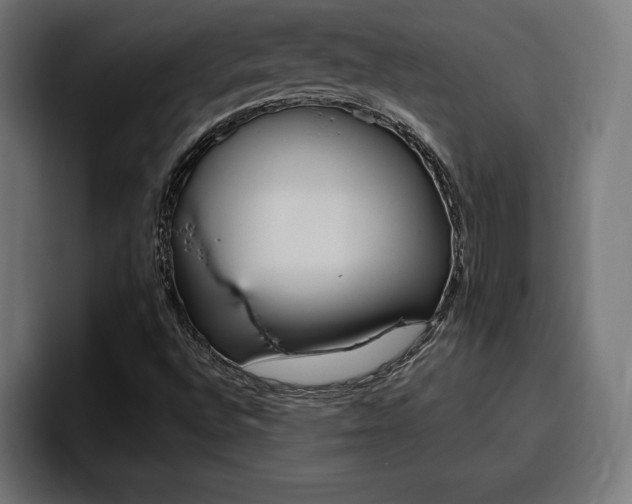 X0000094771496200711160819