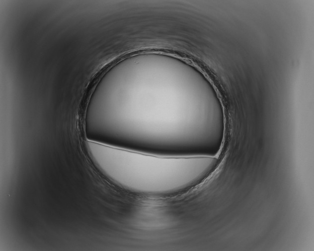 X0000094771497200711160819