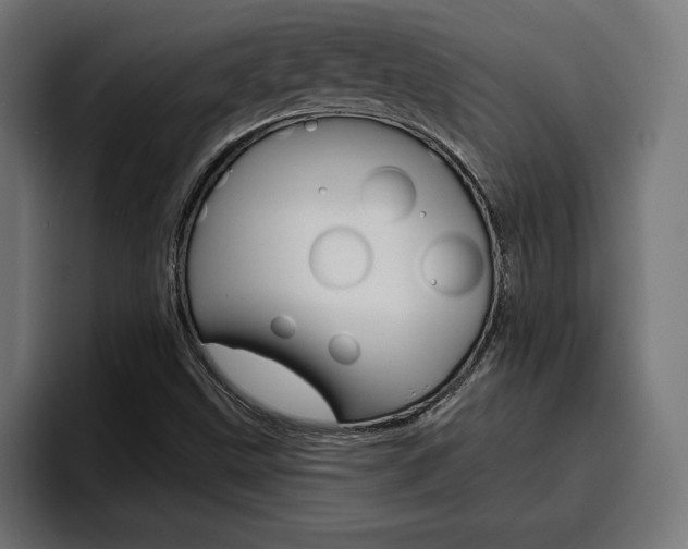X0000094771499200711160820