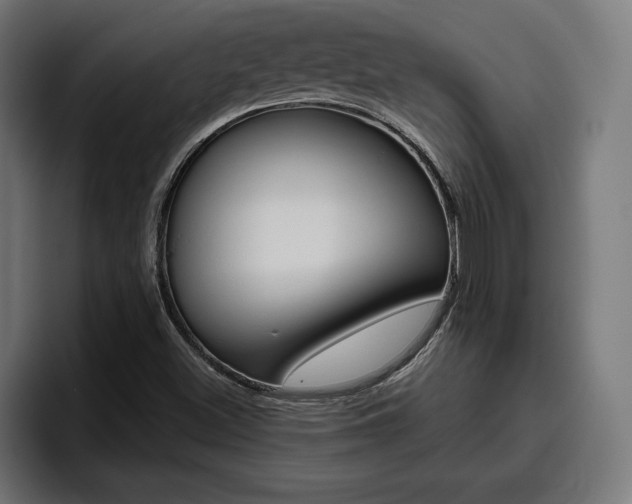 X0000094771500200711160820