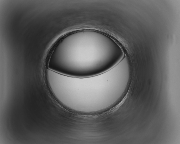 X0000094771502200711160820