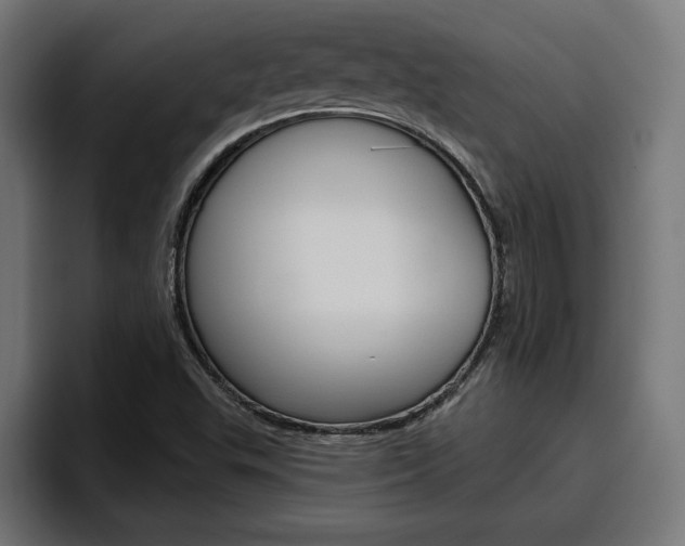 X0000094771503200711160820