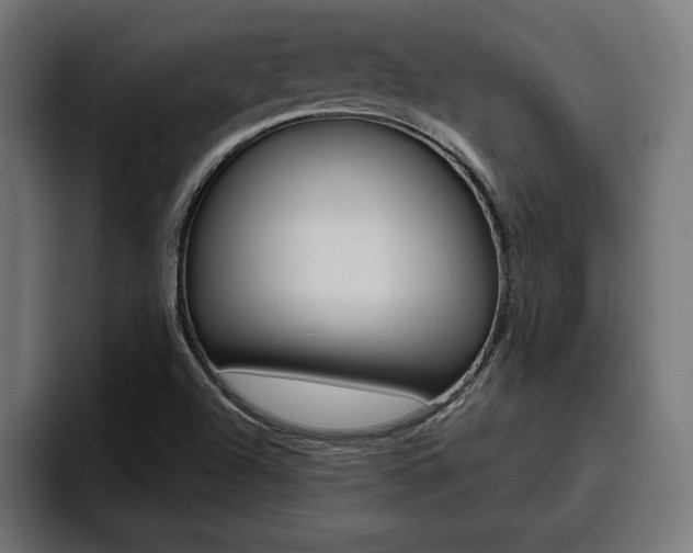 X0000094771504200711160820