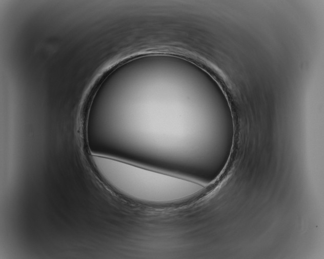 X0000094771506200711160820