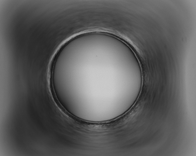 X0000094771508200711160820