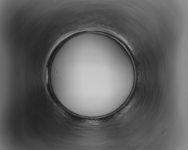 X0000094771509200711160820