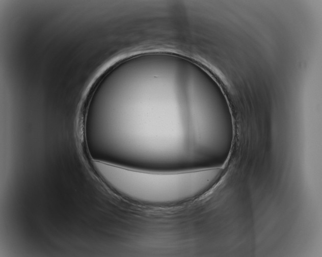 X0000094771510200711160820