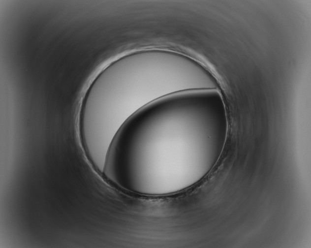 X0000094771512200711160820