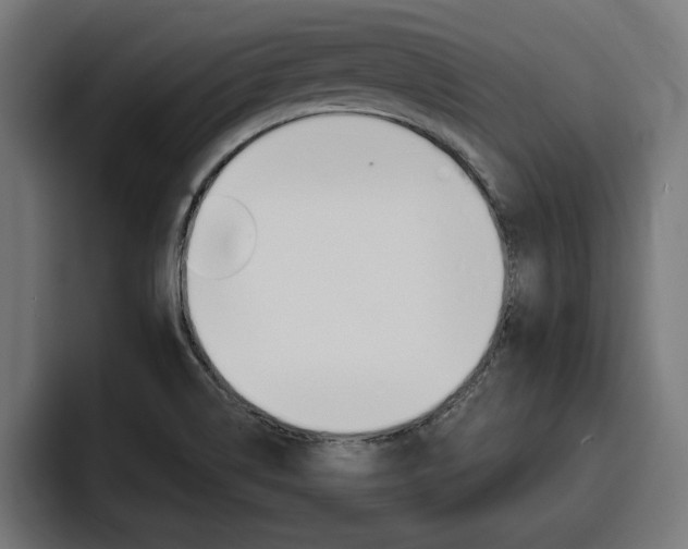 X0000094771514200711160820