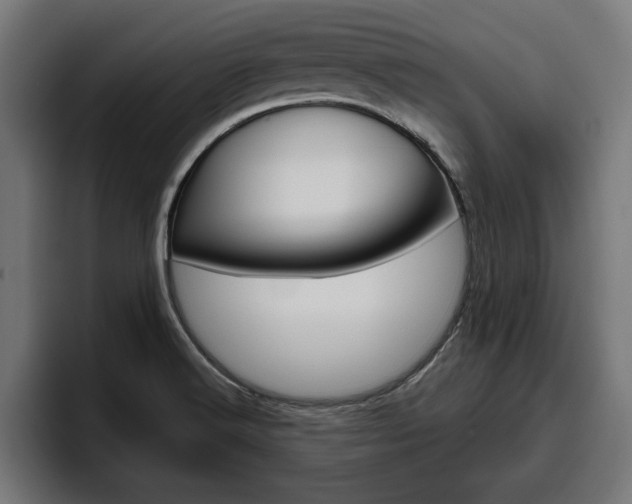 X0000094771516200711160820