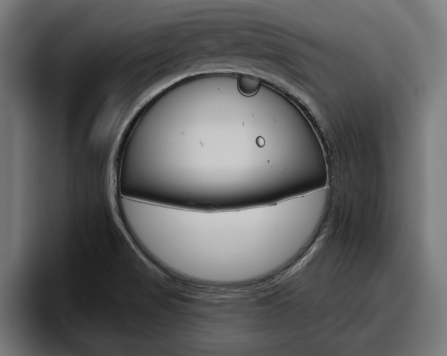 X0000094771517200711160820
