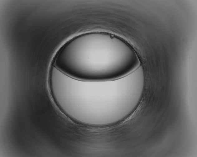 X0000094771518200711160820