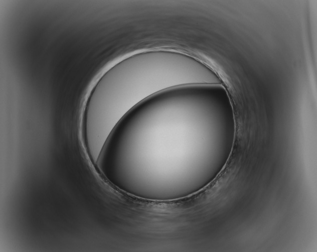 X0000094771520200711160820