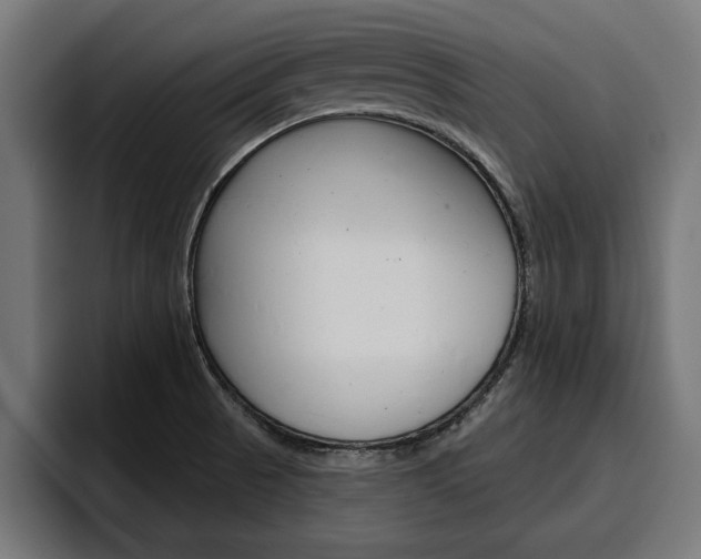 X0000094771521200711160820