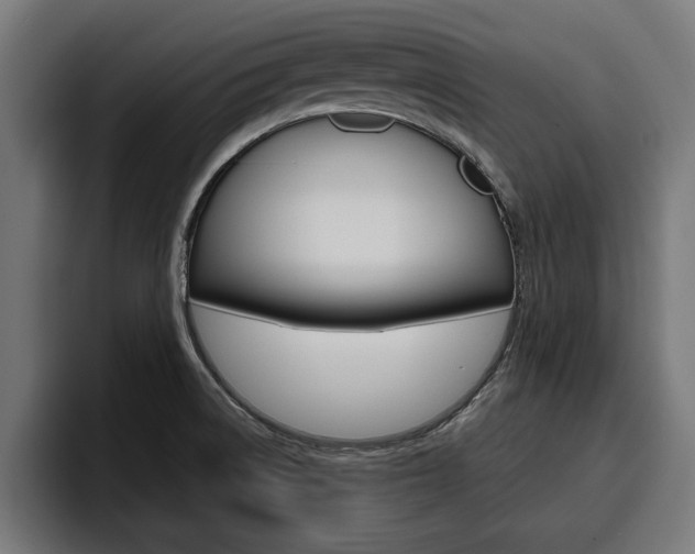 X0000094771522200711160820